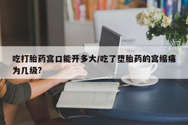 哪里有米索前列醇片动态 第85页