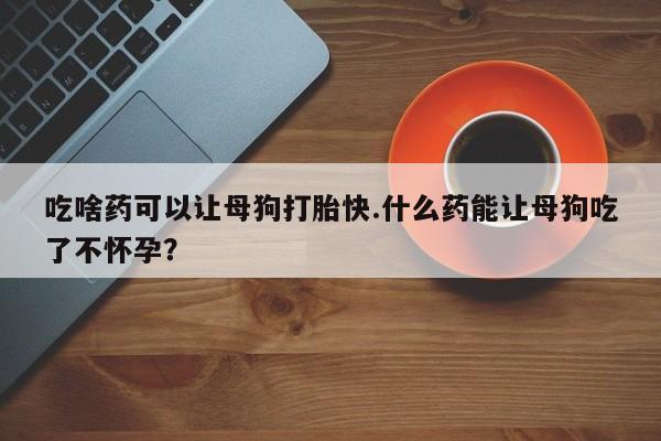 哪里有米索前列醇片吃啥药可以让母狗打胎快.什么药能让母狗吃了不怀孕？