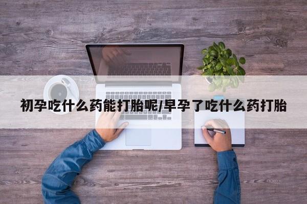 哪里有米索前列醇片初孕吃什么药能打胎呢/早孕了吃什么药打胎